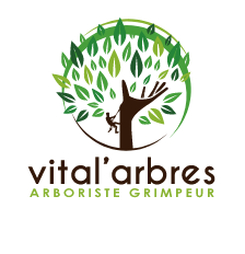 VITAL'ARBRES Logo